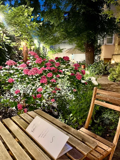 Večerní zahrada Galerky s hortenziemi