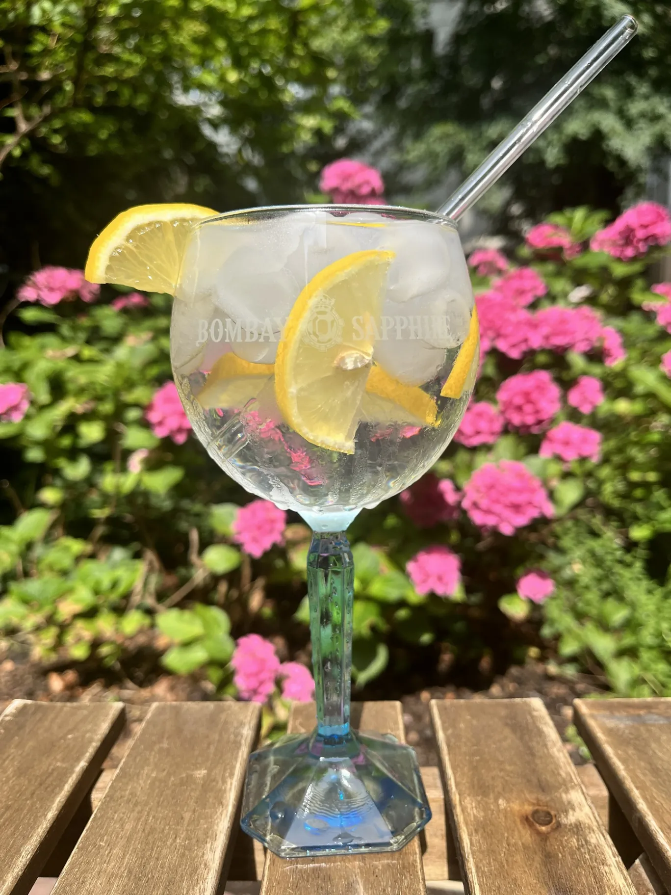 Gin tonic s citronem v zahradě